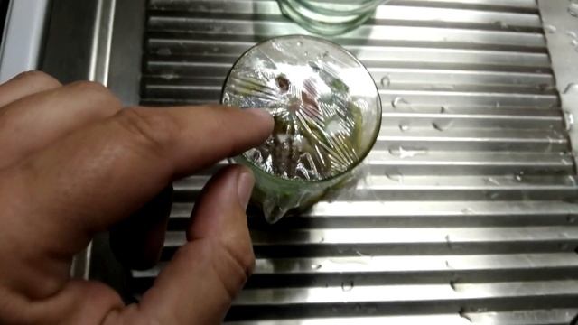 Как избавиться от плодовых мушек в квартире смотреть онлайн