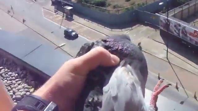 Сделал пакость смотреть онлайн