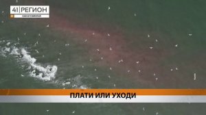 ЛОСОСЁВАЯ КАТАСТРОФА МОЖЕТ СЛУЧИТЬСЯ НА КАМЧАТКЕ
• НОВОСТИ КАМЧАТКИ