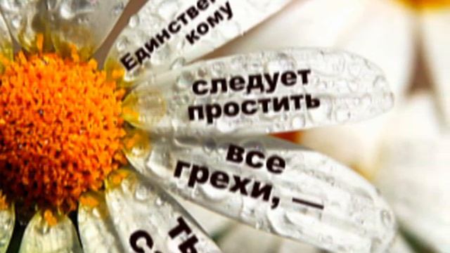 Цитаты на каждый день смотреть онлайн