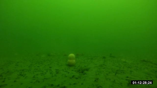 Монтаж для подводой съёмки //Рыбалка в октябре съёмка под водой