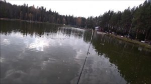 Рыбалка на спиннинг поздней осенью / Ловля форели на обычные блесны