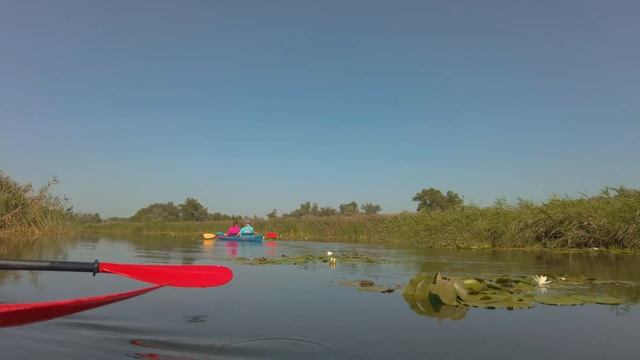 2022 08 21 Каяки c Олей Надей Гришей Эдом Софией смотреть онлайн