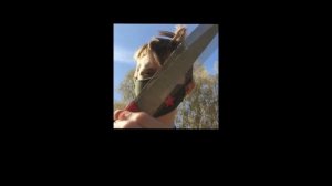 На что способна усиленная винтовка MP-512 до 25 ДЖоулей?