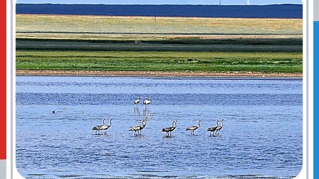 Ростовский заповедник смотреть онлайн