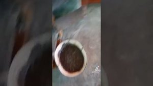 зола и отработка
