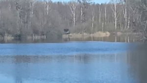 Почти рыбалка . Соболь 4х4 offroud