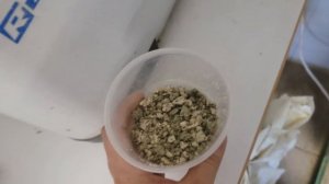 ?Конопляный протеин своими руками. Молоко+ по-домашнему)