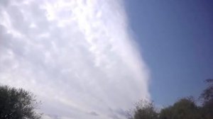 Пчелопакеты по ГОСТу. Купить пчелопакеты