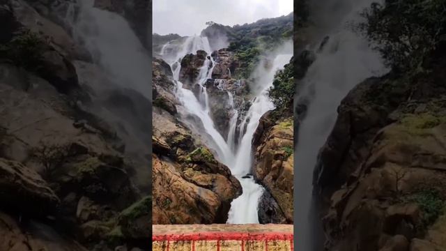 Goa dudhsagar