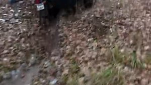 В грязь на Днепре (МТ-11) ч4 (в которой сгорел наш Днепр)