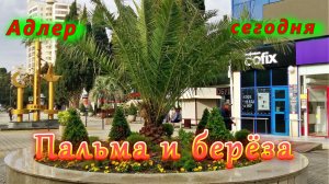 Адлер сегодня/ Пальма и берёза