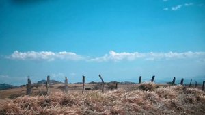 Опасный животный мир в Коста Рике, Ядовитые змеи и лягушки, Путешествие своим ходом