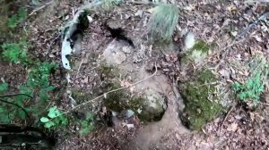 Поиск СОКРОВИЩ