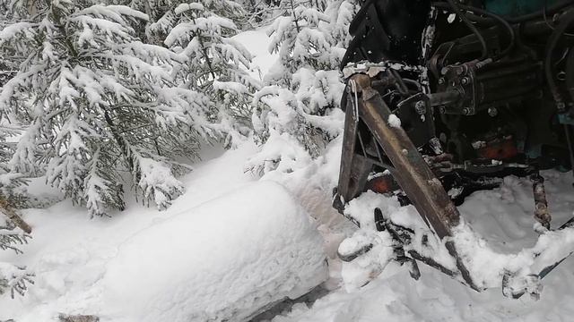 История про летающее бревно смотреть онлайн