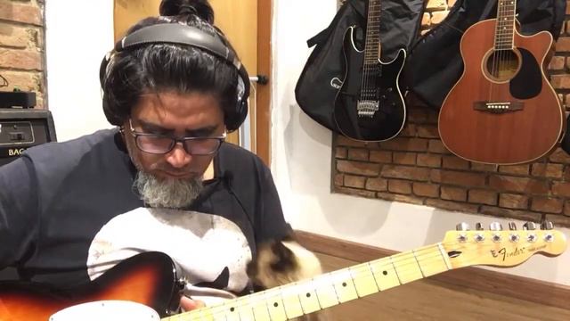 Zanetti Guitar 1979 Official: Guitarra Fender Telecaster Standard Made in Mexico Sunburst смотреть онлайн