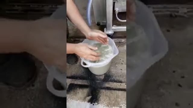 Grape Juice machine , машина для виноградного сока ,  Дробилка гребнеотделитель винограда смотреть онлайн