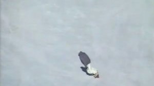 Простые Движения, 3в1. Первые шаги для новичка на сноуборде.