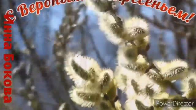 С Вербным Воскресеньем!!! смотреть онлайн