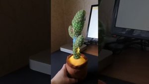 Танцующий кактус