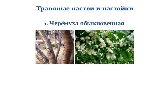 Мастер-класс "5 эффективных способов Нетрадиционной медицины в лечении радикулита" смотреть онлайн