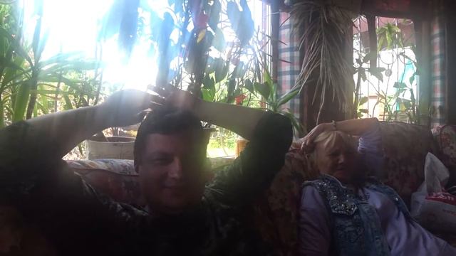 ОТКУДА у КУРИЦЫ берутся ЯЙЦА? ?  Зачем в курятнике ПЕТУХ? ??