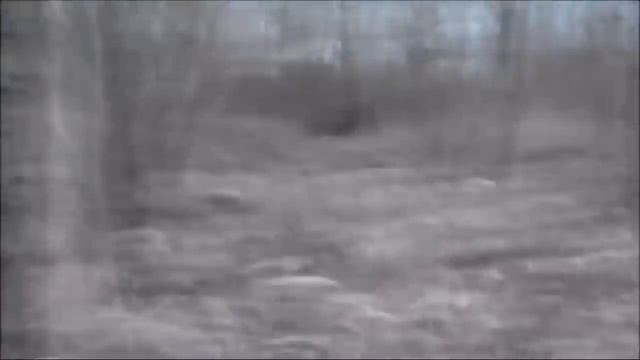 5 Vjestica Uhvacenih Kamerom U Stvarnom Zivotu смотреть онлайн