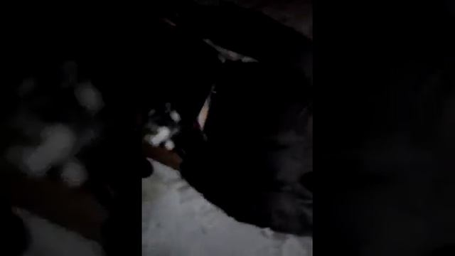 пьяный патцан смотреть до конца смотреть онлайн