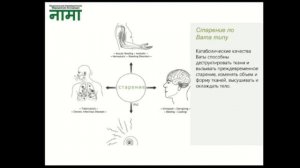 Детоксикация и биологическое омоложение