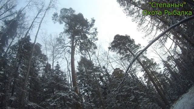 5 заезд 4 день Резервный участок Соболь в КД-140 (1 часть) 05 11 21 смотреть онлайн
