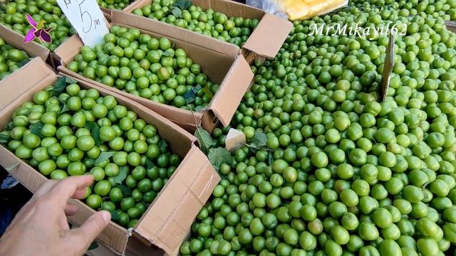 Алча - Разброс цен. Базар 8км. 19.05.22. Баку смотреть онлайн