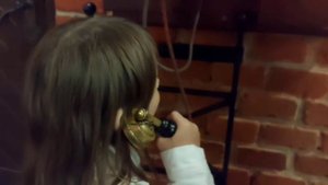 Куда сходить с ребёнком в Калининграде?