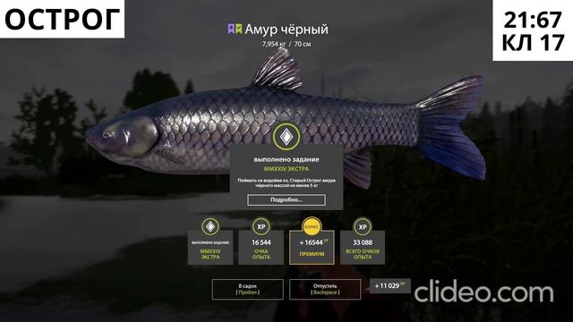 Этап 7 (Прем). Мешок с подарками. Закрыл все 3 задачи.НГ ивент рр4. Сиг, таймень, черный Амур!!! смотреть онлайн