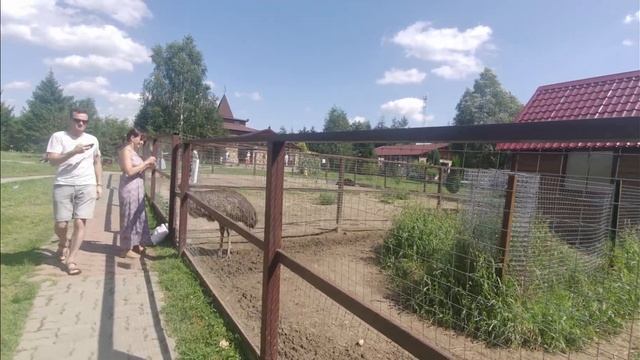 Парк ПТИЦ 