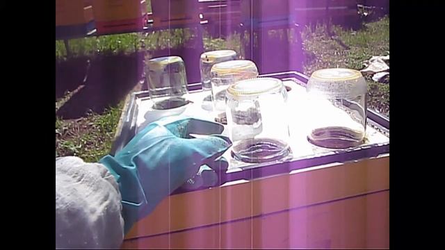 Ставим банки под сотовый мед смотреть онлайн