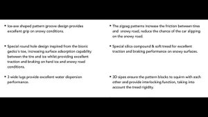 Anvelope iarna FORTUNE FSR-901 - AnvelopeMAG.ro