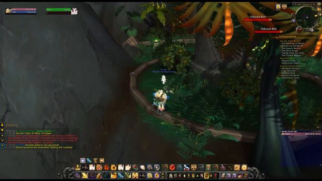 K'ute WoW Pet Overview смотреть онлайн