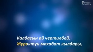 Алмаз Шаадаев Жаным эй Караоке кыргызча #14