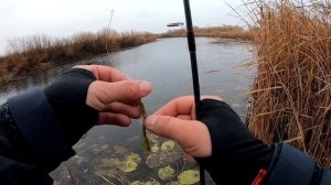 Щука осенью на спиннинг? Какие цвета работают на сломе погоды?