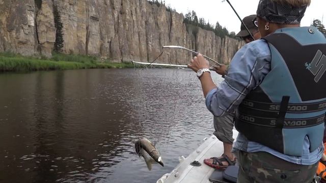 Летняя рыбалка на реке Синяя