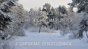 Прогулка по заснеженному лесу. Река Ширшема, Северодвинск