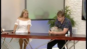 Советы ветеринара: стрижем когти и чистим уши