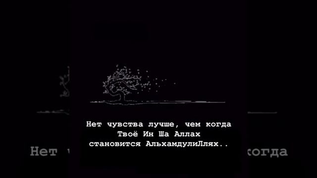 Нет чувства лучше , чем когда твоё Ин Ша Аллах становится АльхамдулиЛлях..?