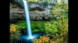 Михаил Юрьевич Лермонтов - Дубовый листок (читает Виктория Филина)