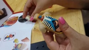 Анатомическая модель организма человека