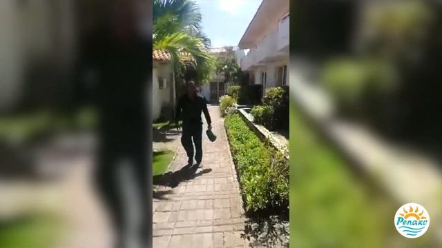 Обзор отеля LD Palm Beach 4* в Венесуэле от наших туристов смотреть онлайн