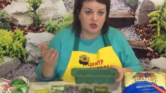 КАК ПОСАДИТЬ И ВЫРАСТИТЬ КОМНАТНЫЕ РАСТЕНИЯ ИЗ СЕМЯН смотреть онлайн