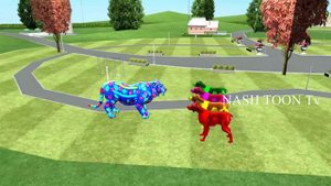 wild animals finger family song for kids | nursery rhymes,children,toddlers,Gorilla,NASH TOON Tv