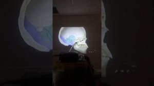 Максим Половинко 2 семинар