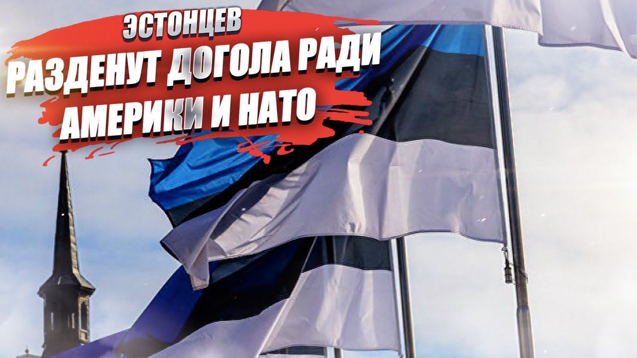 Кранты Эстонии! Её теперь будут грабить – Кая Каллас научила всех, как надо!